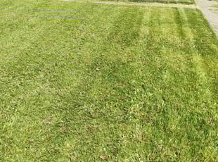 Ed H.'s Lawn Care service result