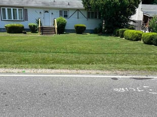 Rachel S.'s Lawn Maintenance service result