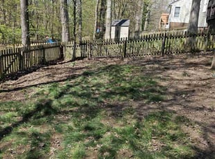 Leaf Removal by Eric Stith for Laura E. in Richmond, VA