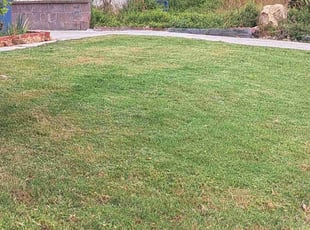 Vaughn B.'s Lawn Mowing Service service result