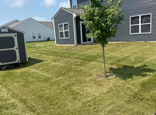 Deon J.'s Lawn Care service result
