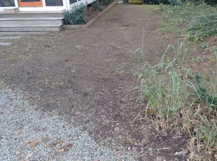 Leaf Removal by Timothy Chaplin for Tanya J. in Chapel Hill, NC