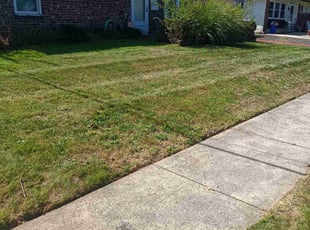 Yvonne M.'s Lawn Care service result