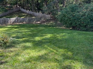 Catherine B.'s Grass Cutting service result