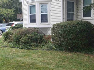 Bush Trimming by Shaun Marshall for Chris R. in Virginia Beach, VA