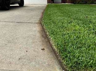 Michael D.'s Lawn Mowing service result