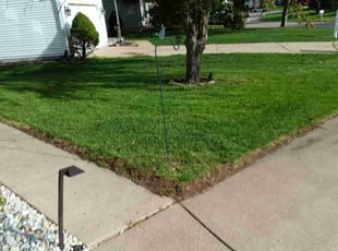 Jason D.'s Lawn Care service result