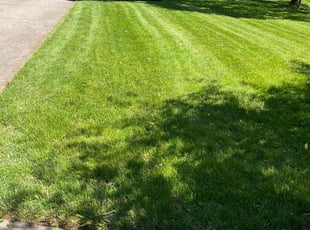 David L.'s Grass Cutting service result