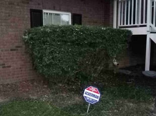 Bush Trimming by Elvin Dobbs for Terence E A. in Powder Springs, GA