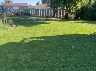 DeAnn L.'s Lawn Care service result