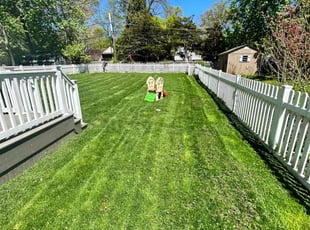 Noel M.'s Lawn Care service result