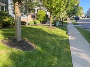 Russell S.'s Lawn Service service result