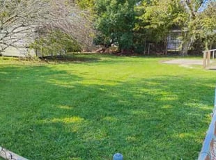 Susie P.'s Lawn Mowing service result
