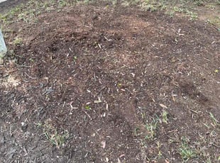 Leaf Removal by Derrick Shipman for Teresa v. in Irmo, SC