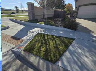 Brandon P.'s Lawn Care service result