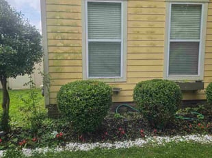 Bush Trimming by Ceo Bailey for Darren F. in New Albany, IN