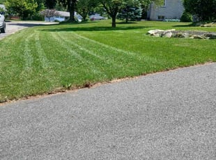 James D.'s Lawn Maintenance service result