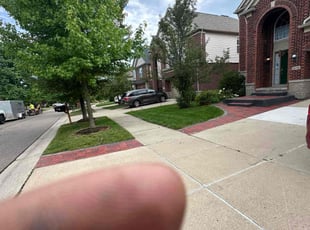 Elba S.'s Lawn Mowing service result