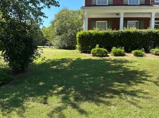 Sinclair G.'s Grass Cutting service result