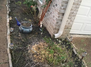 Weeding by Michael Holloway for Darby R. in Bartlett, TN