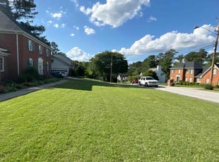 Sonya W.'s Lawn Care service result