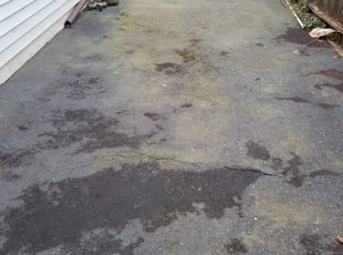 Bush Trimming by Jose Chavez for Julian G. in Kent, WA