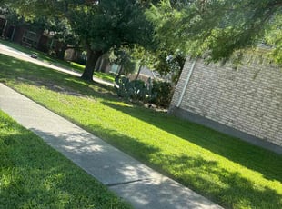 Mike A.'s Lawn Care service result