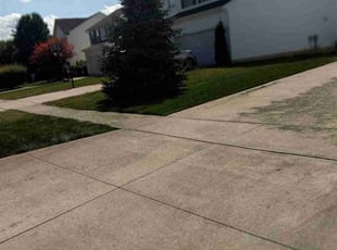 Tawana M.'s Lawn Mowing service result