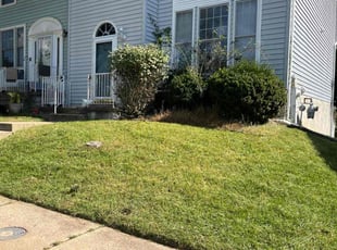 ELIZABETH F.'s Lawn Mowing Service service result