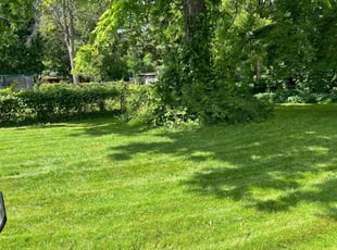 Terri J.'s Lawn Care service result