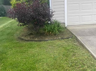 Weeding by Tywuan Williams for Kristy N. in Fishers, IN