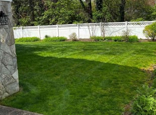 Jonathan H.'s Lawn Care service result