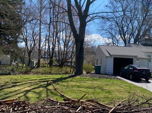 Leaf Removal by James Serio for Jeff F. in Rochester, NY
