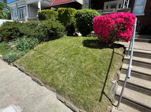 Shirley W.'s Lawn Service service result