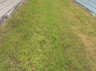 Cleanups by Patrick Stewart for Abirami B. in Princeton, TX