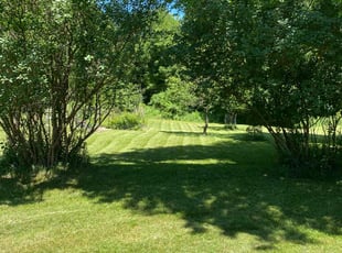 Barbara K.'s Lawn Mowing Service service result