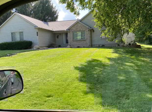 Dan L.'s Yard Cutting service result
