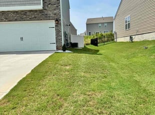 Louene A.'s Lawn Mowing Service service result