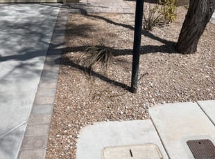 Weeding by John Skitzis for Michelle P. in Las Vegas, NV