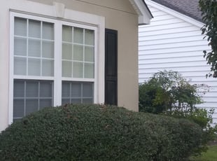Bush Trimming by Brandon Sanders for Deborah R. in Mount Pleasant, SC