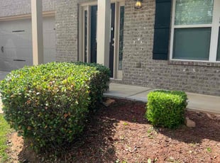 Bush Trimming by Phillip StPreuve for Dedra G. in Lawrenceville, GA