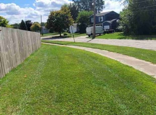 Carole L.'s Grass Cutting service result