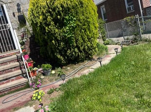 Bush Trimming by Jamal David for Fabiola c. in Queens, NY