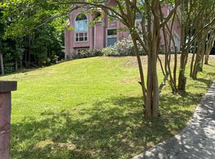 Abigail S.'s Yard Cutting service result