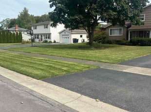 Jonathan R.'s Yard Cutting service result