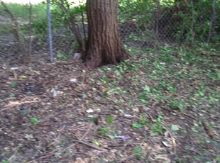 Cleanups by Demetrius Curry for Amanda H. in Tulsa, OK