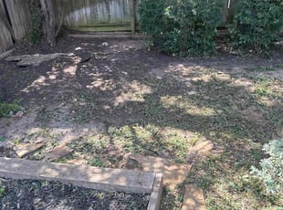 Leaf Removal by Scarleth Palencia for Devanshi A. in Austin, TX