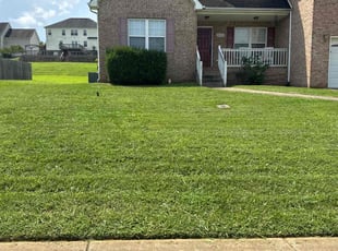 Lewis P.'s Lawn Mowing service result
