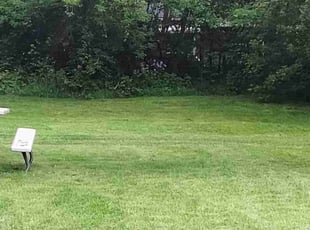 Nick E.'s Grass Cutting service result