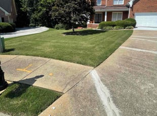 Yvonne P.'s Lawn Care service result
